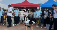 开云体育官方网站-运动员们在比拼中发挥出非凡的自我