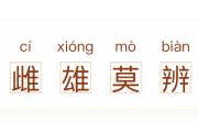 开云体育app-一雌一雄，斗智斗勇，英姿飒爽