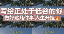 开云体育官网-公牛经验老将发威，带领球队走出低谷
