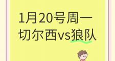 开云官网-切尔西客场击败狼队，取得关键胜利