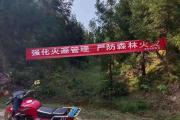 开云APP-包含森林火队主帅自责球队失分，寻找牛鼻近路变局的词条