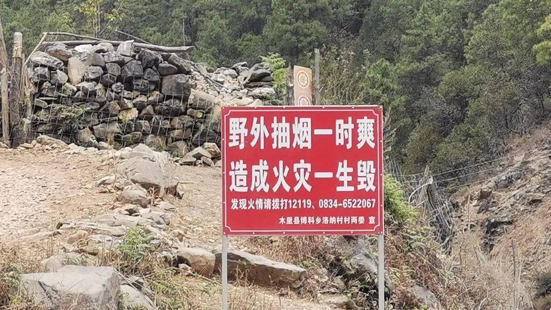 包含森林火队主帅自责球队失分，寻找牛鼻近路变局的词条