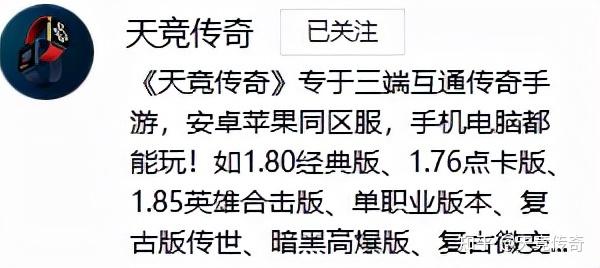 一雌一雄，斗智斗勇，英姿飒爽