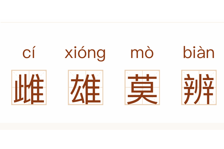 一雌一雄，斗智斗勇，英姿飒爽