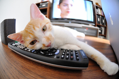 大心脏,舞台越大越强的密码