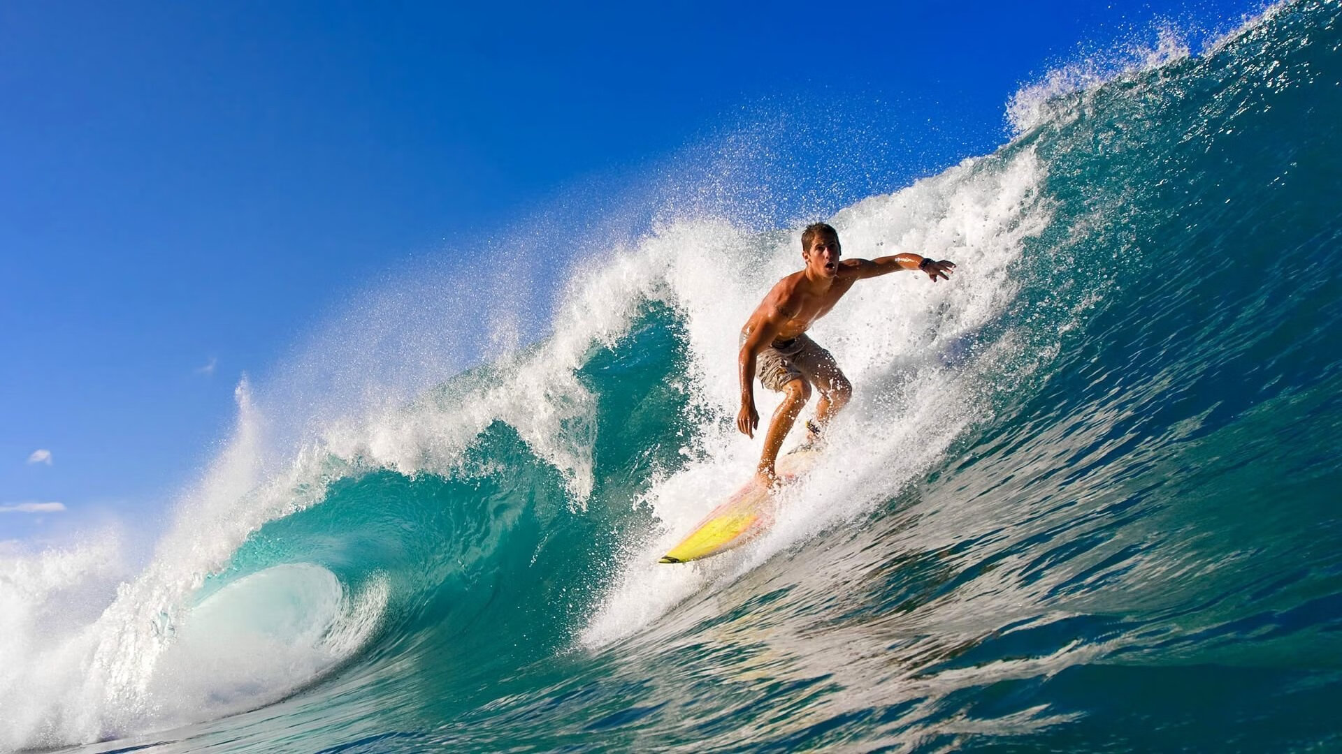 欧洲战火未熄，辽篮亮剑狭路相逢—竞技体育的争冠启示录