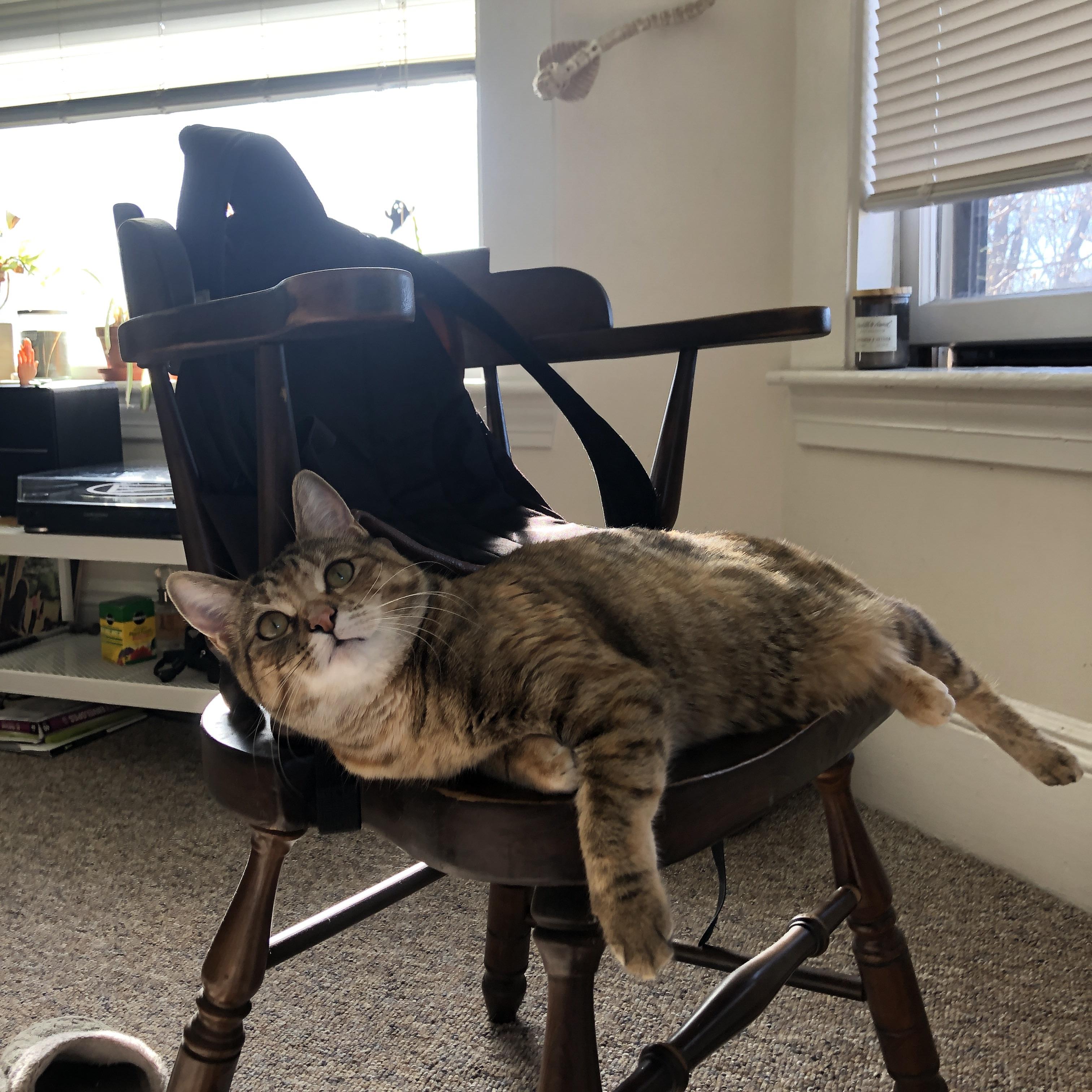 跨界对决，塔图姆用东方智慧为上海队按下胜利密钥