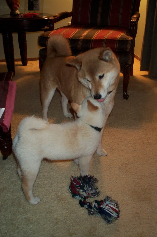 浓眉擎天!余嘉豪制霸攻防转换,浙江力克吉林取关键胜利