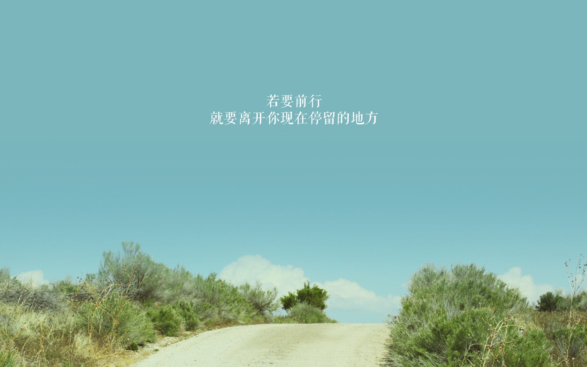 夜幕下的速度与节奏，库尔图瓦如何为F1街道赛注入团队灵魂