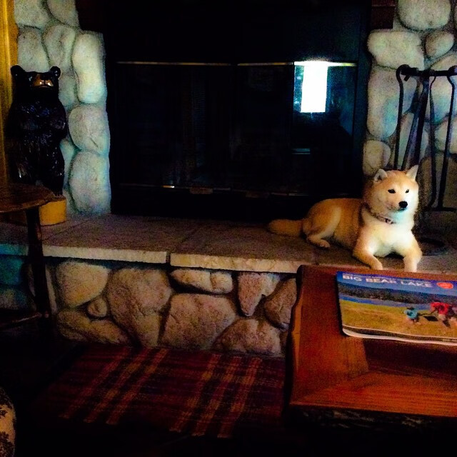 桑巴风暴席卷北欧,C罗关键一击助巴西强行终结芬兰神话