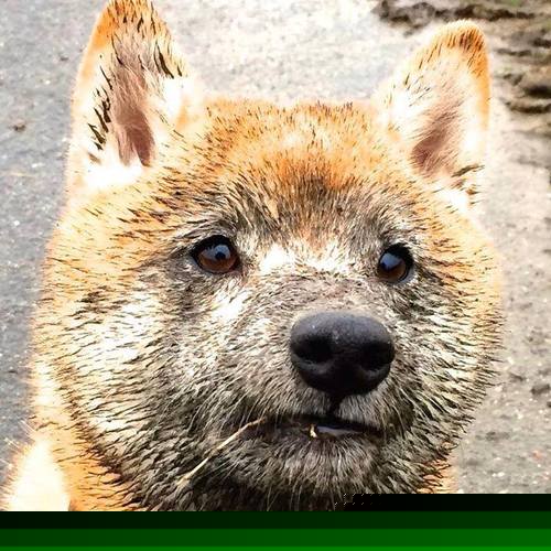 太阳陨落于南海岸，热火的团队铁壁如何绞杀凤凰城巨星风暴