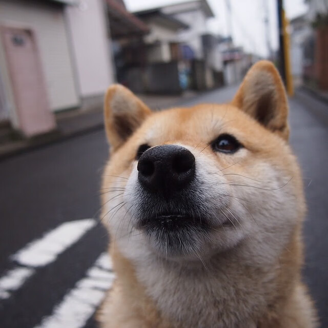 太阳陨落于南海岸，热火的团队铁壁如何绞杀凤凰城巨星风暴