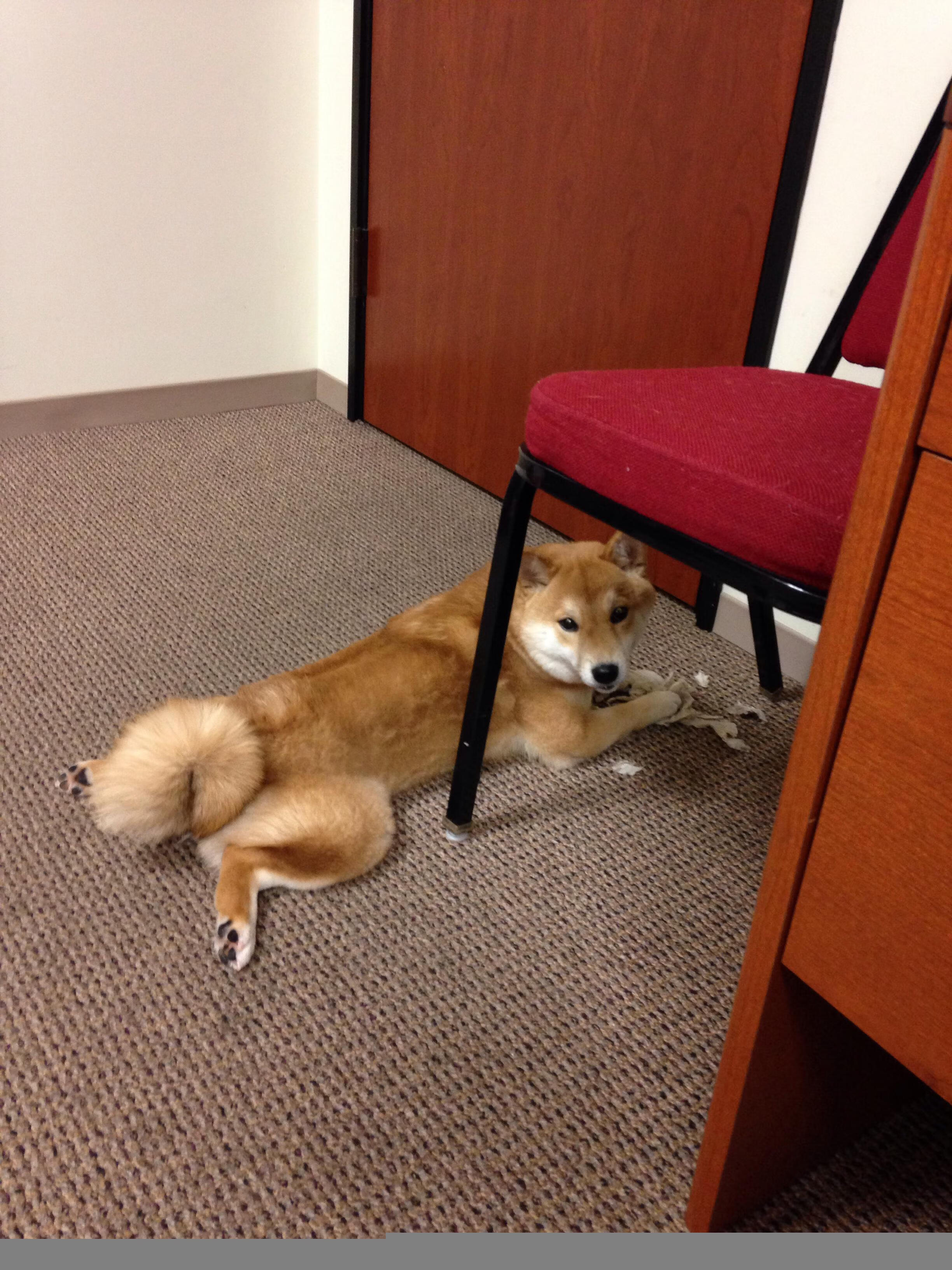 绿茵场的双重奏,从俱乐部洲际博弈到奥运周期巨星闪耀