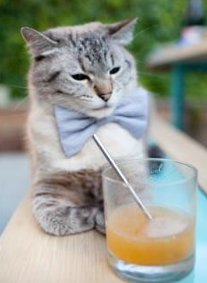 森林狼对阵北京队，杜兰特稳定输出不掉线，率队上演国际篮球盛宴