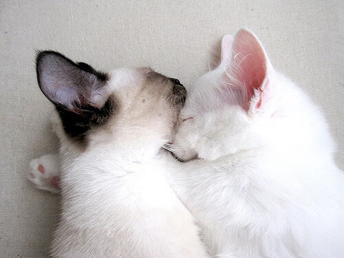 F1街道赛之夜，金属巨兽的暗黑舞蹈与伊萨克那记撕裂宿命的超车